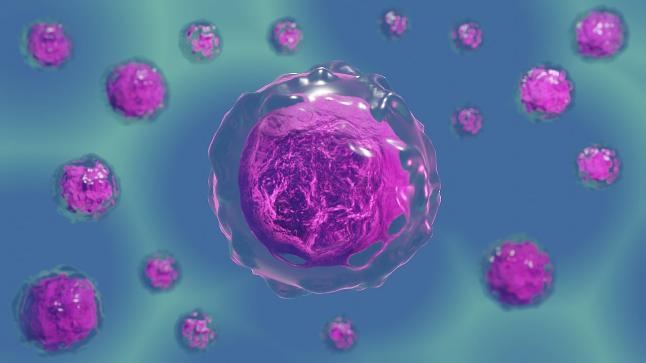 cells